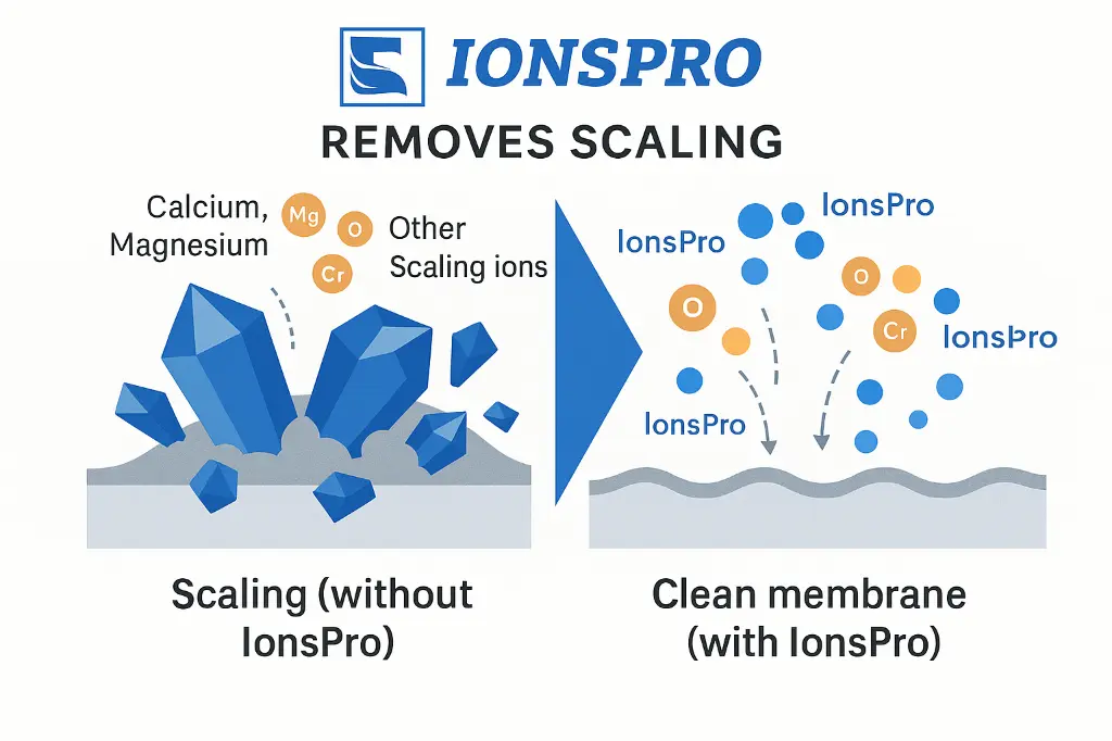 ChatGPT Image May 27, 2025, 08_56_49 PM.webp